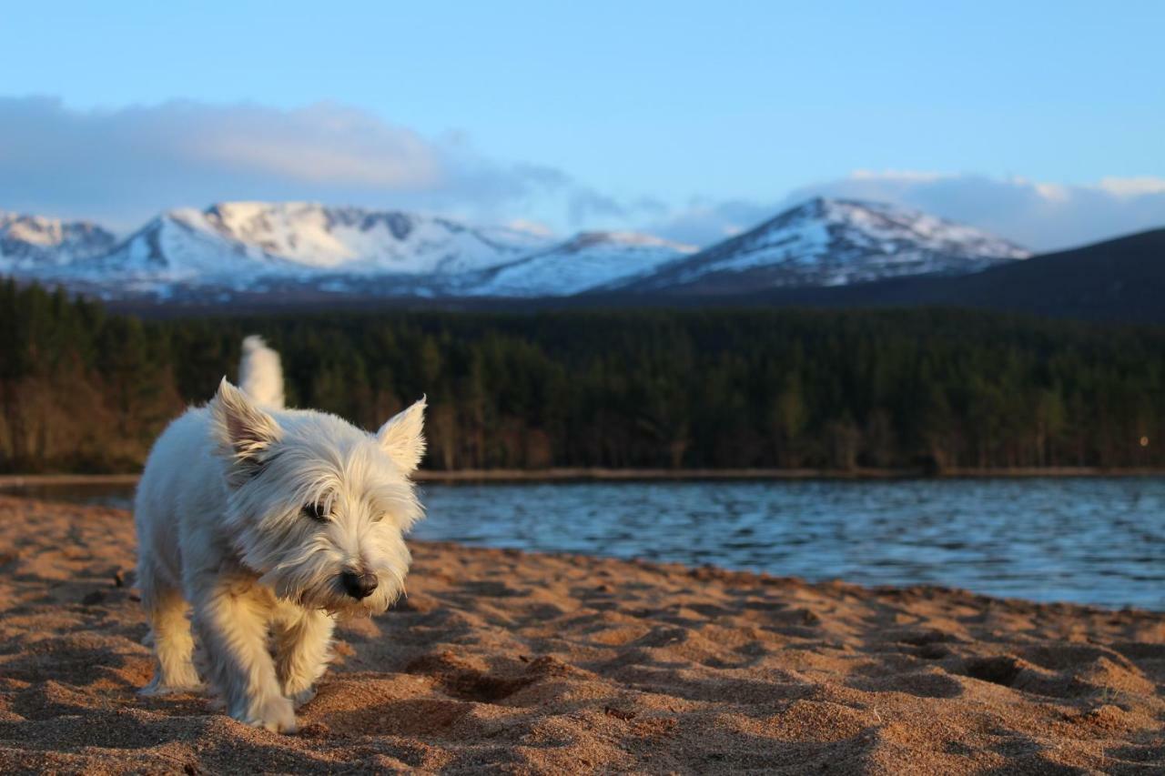 Cairngorm Lodge Youth Hostel Loch Morlich Экстерьер фото