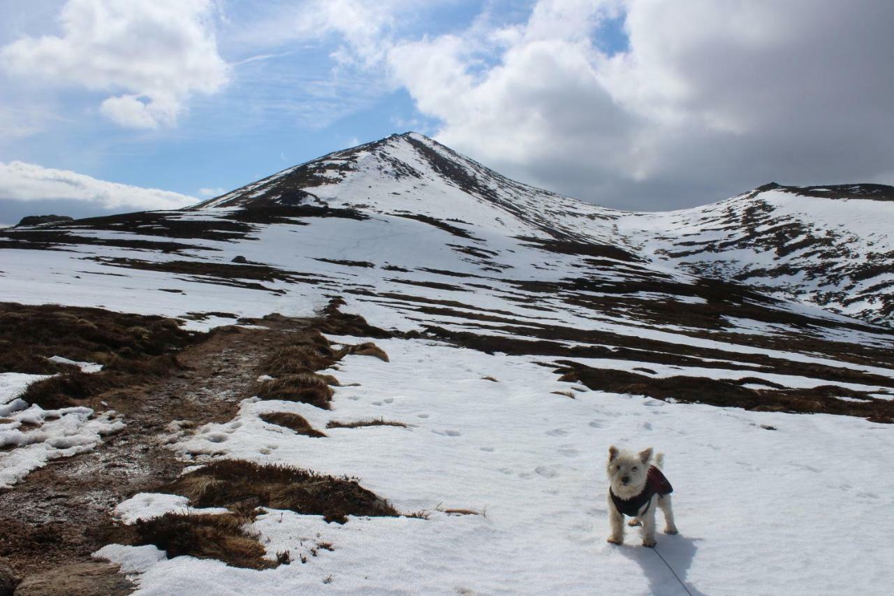 Cairngorm Lodge Youth Hostel Loch Morlich Экстерьер фото